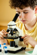 Boy examining preparation under the microscope
