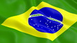 Brazilian flag