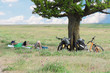 bicycle tourists resting near tree, field and blue sky