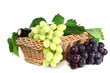 Rotwein