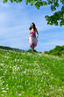 Summer meadow