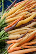 Rainbow Carrots Rainbow Carrots
