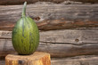 Vegetable marrow