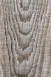 Old wood plank surface Old wood plank surface
