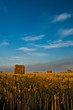 Hay Time