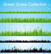 Vector grass collection Vector grass collection