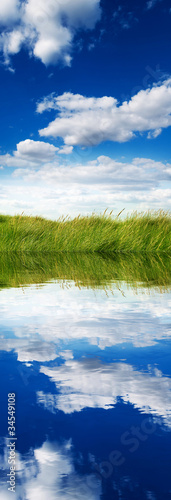 Photo: grass meadow reflection grass meadow reflection