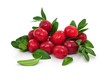 Frische Beeren