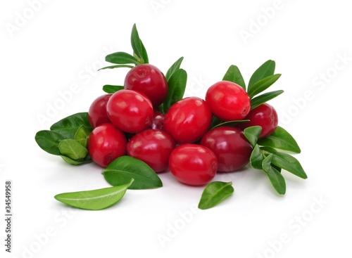 Photo: Frische Beeren Frische Beeren