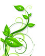 Green plant