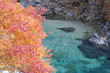 Autumn leaves and Clear stream