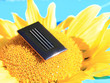Solarenergie