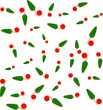 Green　Paprika05