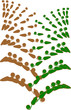 Green　Paprika04