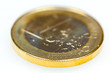 Euro