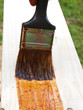 brush