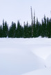 Western Sayan mountains. Ergaky. Siberia. Russia in winter time.