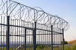 Fence of barbed wire