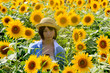 Princess MAIKO Benicio in Sunflower field / Innocent