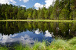 Summer view of the lake in forest