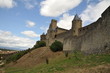 Carcassonne 4