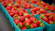 Containers of strawberries at a farmers market