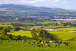 Ireland