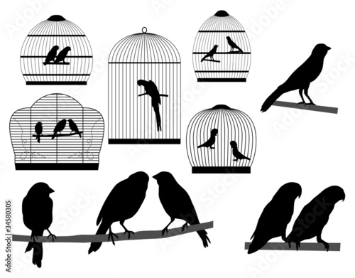 Vector: Bird in a cage Bird in a cage