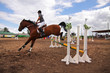 Competitions on concours - the woman jumps through a barrier