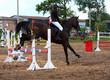 Competitions on concours - The woman carries out a route