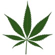 Illustration: Hemp leaf - Marijuana (Cannabis) illustration Hemp leaf - Marijuana (Cannabis) illustration