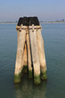 Lagune de Venise