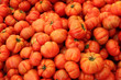 Etalage de tomates
