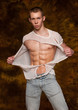 Muscular model