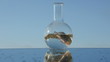 fish in the glass bulb – nature protection symbol