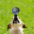 Earth in Balance 1, (Earth image by courtesy of visibleearth.nas
