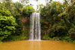 Foto: Millaa Millaa Falls in Queensland, Australia Millaa Millaa Falls in Queensland, Australia