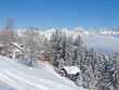 Winter holiday house