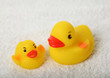 Rubber ducks parent and child Rubber ducks parent and child