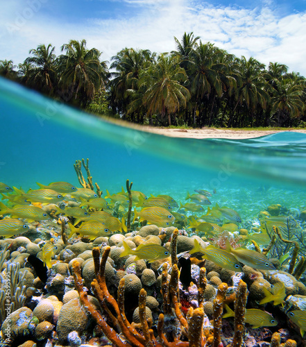 Photo: Underwater paradise Underwater paradise