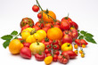 alte Tomaten Sorten bunt Biodiversität - tomatoes