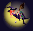 Beautiful Witch and moon. vector illustration