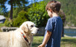boy and dog