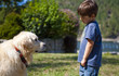boy and dog