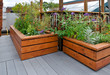 Rooftop garden on urban building