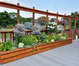 Rooftop garden in urban setting