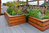 Rooftop garden on urban building