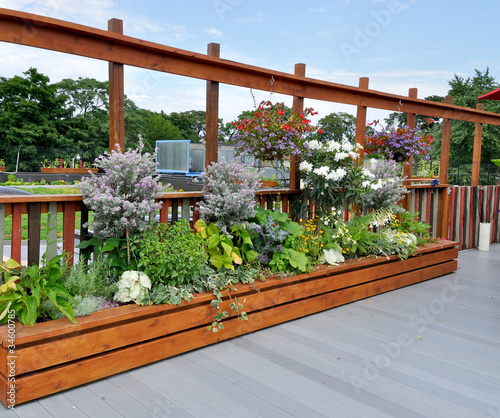 Photo: Rooftop garden in urban setting Rooftop garden in urban setting
