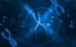 Chromosome