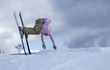 ski fall